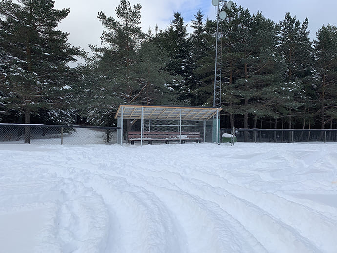 clôture terrain baseball